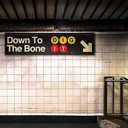 Down To The Bone - Dig It